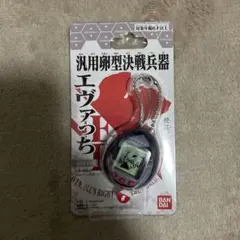 新品 エヴァっち カヲルモデル 渚カヲル エヴァンゲリオン