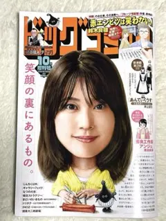 ビッグコミック増刊号 １０月号