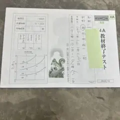 2025年最新】公文国語終了テストの人気アイテム - メルカリ