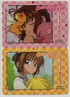 カードキャプターさくら カラオケの鉄人 チェキ風カード