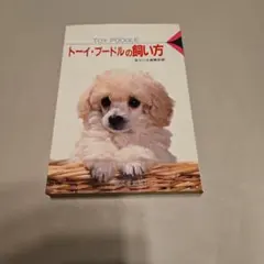 Item thumbnail for item 8cb10d53-03d8-46c6-ae8b-6025bfce9ad7