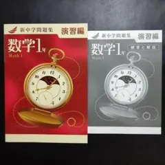【新品解答付】新中学問題集　最新版　数学1年・演習編