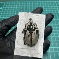 Mont Blanc様 リクエスト 3点 まとめ商品