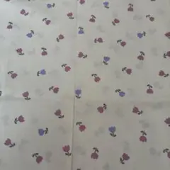 ミルクラテ　チューリップ　アイボリー