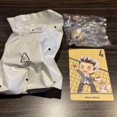 こたろう様 リクエスト 2点 まとめ商品