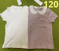 エニィファム 半袖Tシャツ 2枚セット 120