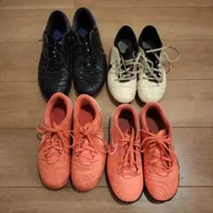 ナイキトレシュー