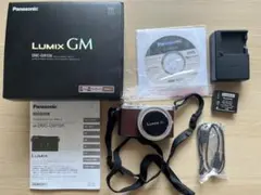 2026年最新】panasonic gm1sの人気アイテム - メルカリ