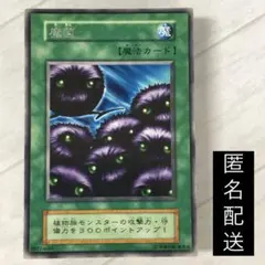 ✅キラコンプリート❗️【⚡️1999年初期vol5】絶版高額Box収録カード 旧裏 ポケモンカード くいしんぼカビゴン 強全面ホロ 全面ホロ キラ