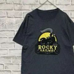 90sヴィンテージTシャツ！グレー半袖古着　L 13