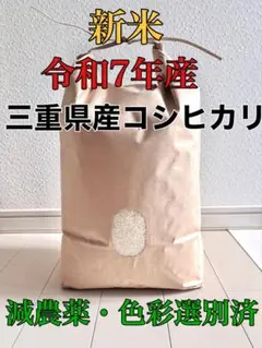 新米　令和7年収穫 2025年産　農家直送　三重県産コシヒカリ精米　5kg5キロのサムネイル