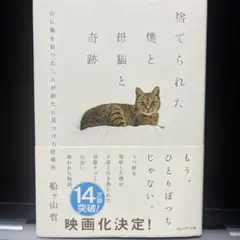 捨てられた僕と母猫と奇跡 : 心に傷を負った二人が新たに見つけた居場所