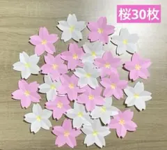 桜の花30枚　さくら　春の壁面飾り　入園式　入学式　施設