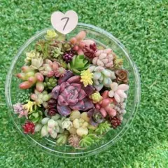 Reachan様 リクエスト 2点 まとめ商品