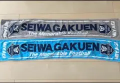 SEIWA GAKUEN サッカー応援タオル 2色セット