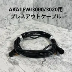 2025年最新】ewi3000の人気アイテム - メルカリ