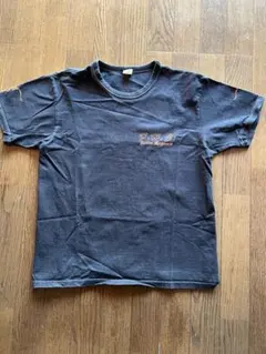 Item thumbnail for item 3782ed9e-cede-4e4e-ae88-de372a4fa4da