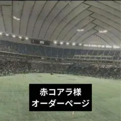 赤コアラ様 オーダーページ 2