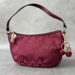 Y2K COACH Signature Accessory Pouch