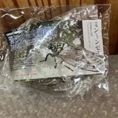 レア　未開封　原色　日本昆虫図鑑Ⅰ 改訂増補版　ミンミンゼミのサムネイル