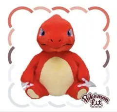 リザード　ポケモンフィット　ポケセン