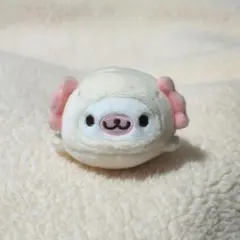 まめゴマ てのりぬいぐるみ まめパーティー ベビー - メルカリ
