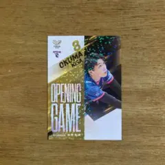 PFUブルーキャッツ 大熊紀妙 カード SVリーグ バレーボール Vトレ トレカ