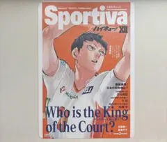 ハイキュー　ショーセツバン　ビジュアルボード　影山飛雄