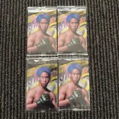 RIZIN ウエハース '24 No.19 神龍誠