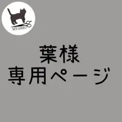 専用ページ(#533-2)