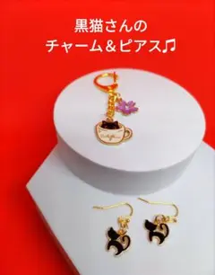 黒猫チャーム＆ピアスセット♫ CPS-1