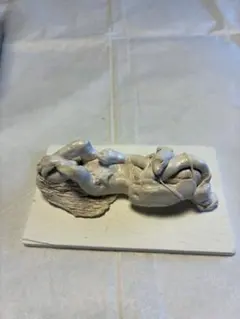 木彫 菊人形 手部残欠 白彩色 木彫残欠 オブジェ 木彫 菊人形 手部残欠 白彩色 木彫残欠 オブジェ - メルカリ
