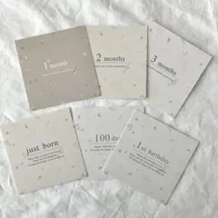 コットン￤月齢カード　マンスリーカード　14枚 スクエア　ましかく　アルバス
