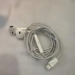 Apple純正有線イヤホン (Lightning)