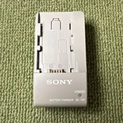 2025年最新】NP-FV100Aの人気アイテム - メルカリ