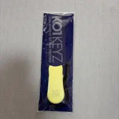 KO1KEYZ コイキーズ ファンミ グッズ プレートライト ペンライト