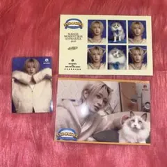 Item thumbnail for item 1b8dc5b3-9c07-4df8-b498-92155335e434