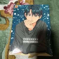 PROGRESS RYOMA ECHIZEN テニスの王子様