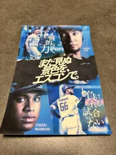 まだ見ぬ景色をエスコンで。　ステッカー　万波中正、伊藤大海
