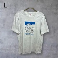 00's ジャージーズ エベレスト 限定 激レア Tシャツ　Mt.everest