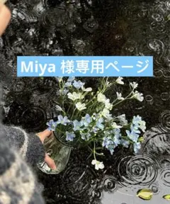 Miya 様専用ページ