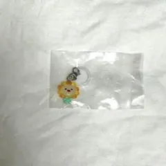 JOCHUM めじるしアクセサリー Bira