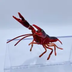 チョコQ 日本の動物 第8弾 アメリカザリガニ【海洋堂】ブック有