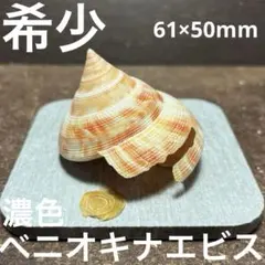 2025年最新】オキナエビスの人気アイテム - メルカリ