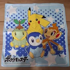 【️ポケモン】ランチクロス