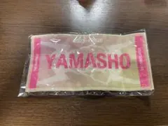 THE RAMPAGE 山本彰吾　カウントダウン ガチャ ネームミニタオル