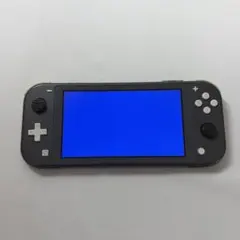 挨*x様 Nintendo Switch Lite 本体 ブルー 使用感あり - メルカリ