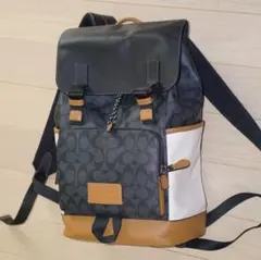 大人気✨️】COACH シグネチャー バックパック C8183 B4/DE - メルカリ