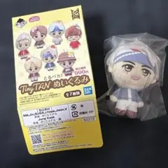 BT21 泰亨 泰泰 V 玩偶 吊飾 鑰匙圈 夾娃娃機！