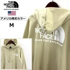 即購入NG★ノースフェイス パーカー◆THROWBACK◆/ot4355M